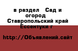  в раздел : Сад и огород . Ставропольский край,Ессентуки г.